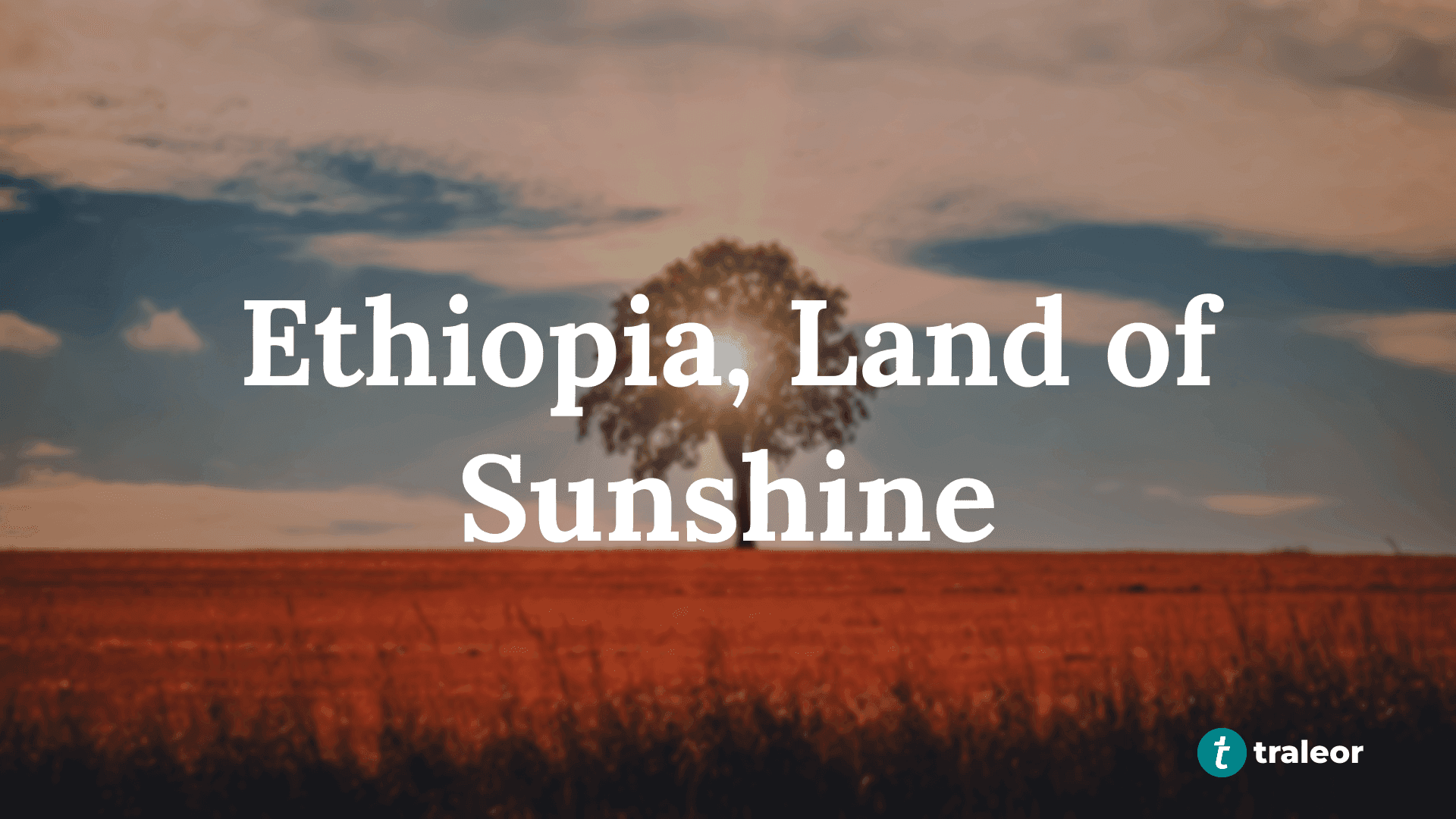 Blog post