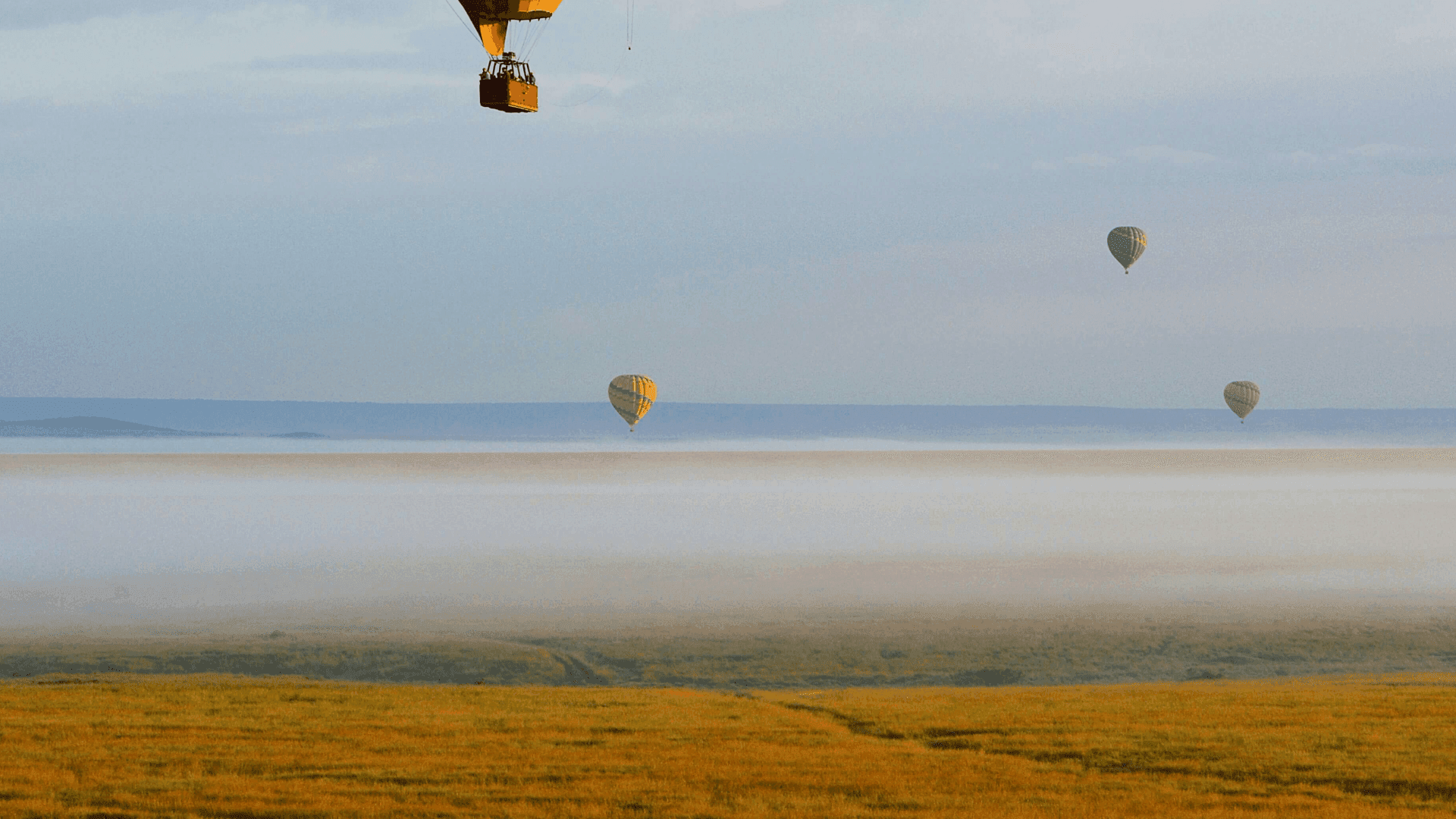 Hot air balloon in Masai Mara in Kenya