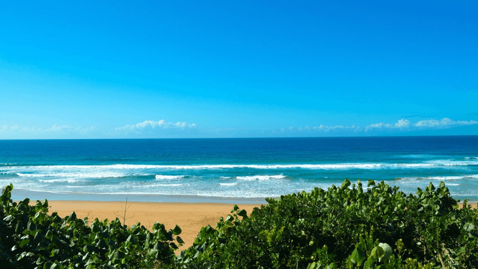 Zona Braza Beach in Mozambique