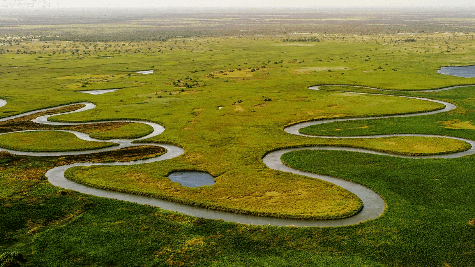 Okavango Delta River