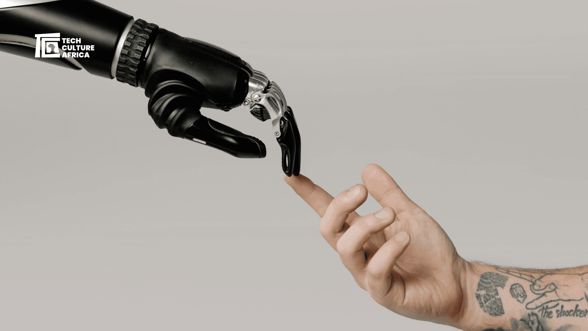 Human and AI Connection
