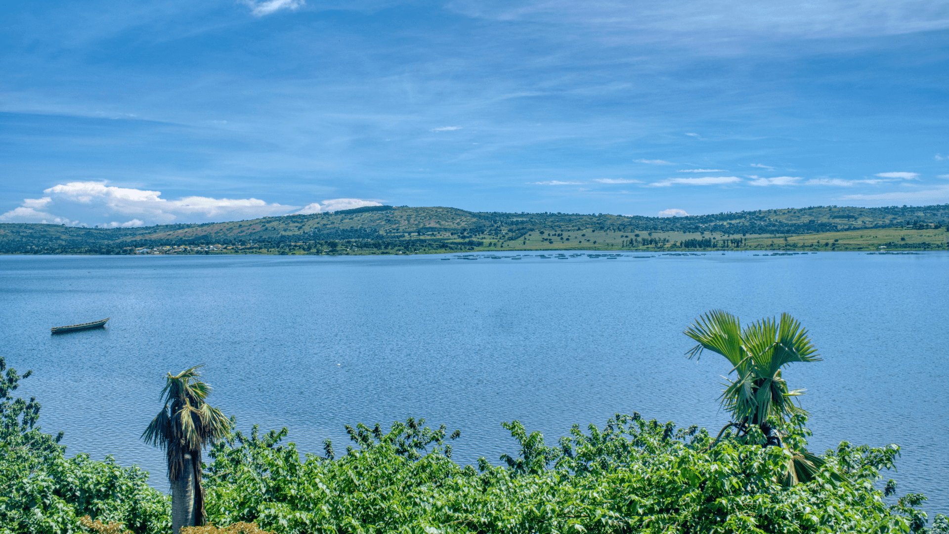 Nile River landscape, Uganda
